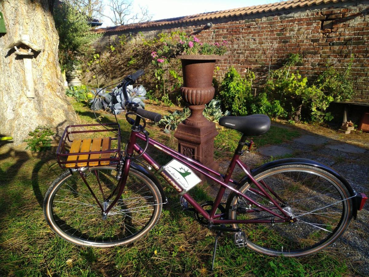 4 Sterne Wohnen "Zum Alten Forsthof" Am Schlosspark, App 1 "Smuck Und Groot" 奥伊廷 外观 照片
